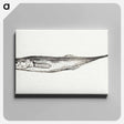 アートパネル-Fish - ジャン ベルナール Canvas.