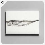 アートパネル-Fish - ジャン ベルナール Canvas.