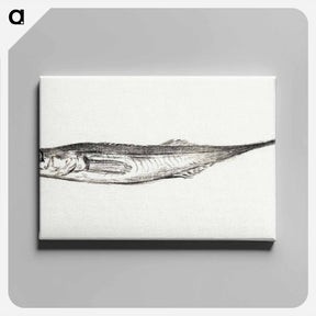 アートパネル-Fish - ジャン ベルナール Canvas.