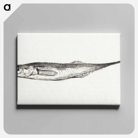 アートパネル-Fish - ジャン ベルナール Canvas.