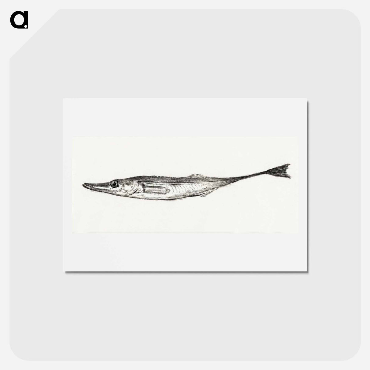 アートポストカード-Fish - ジャン ベルナール Postcard.