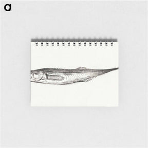 アートメモ帳-Fish - ジャン ベルナール Memo.