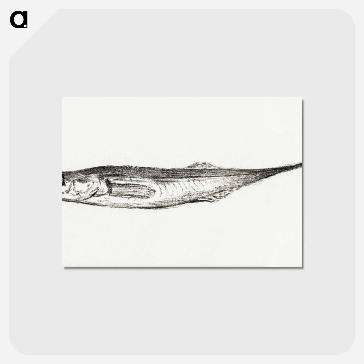 アートポストカード-Fish - ジャン ベルナール Postcard.