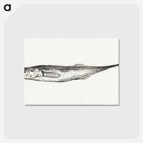 アートポストカード-Fish - ジャン ベルナール Postcard.