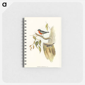 アートメモ帳-Flame-breasted Robin
 - ジョン グールド Memo.