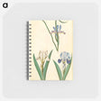 アートメモ帳-Iris graminea and Iris lutescens
 - マリア ジビーラ メーリアン Memo.