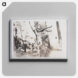 アートパネル-Woman in Swimsuit in Diving Pose on Treestump
 - セントルイス美術館 Canvas.