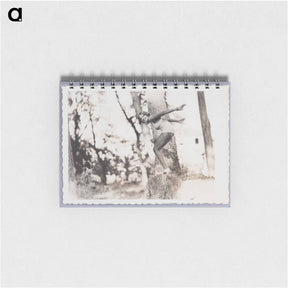 アートメモ帳-Woman in Swimsuit in Diving Pose on Treestump
 - セントルイス美術館 Memo.