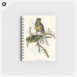 アートメモ帳-Black-tailed Parakeet
 - オーストラリアの鳥 Memo.