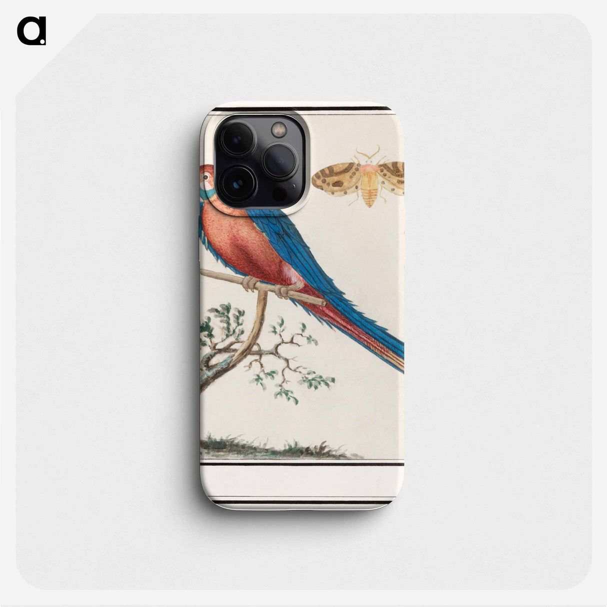 Blue and yellow macaw - アンセルムス ボエティウス デ ブート Phone Case.