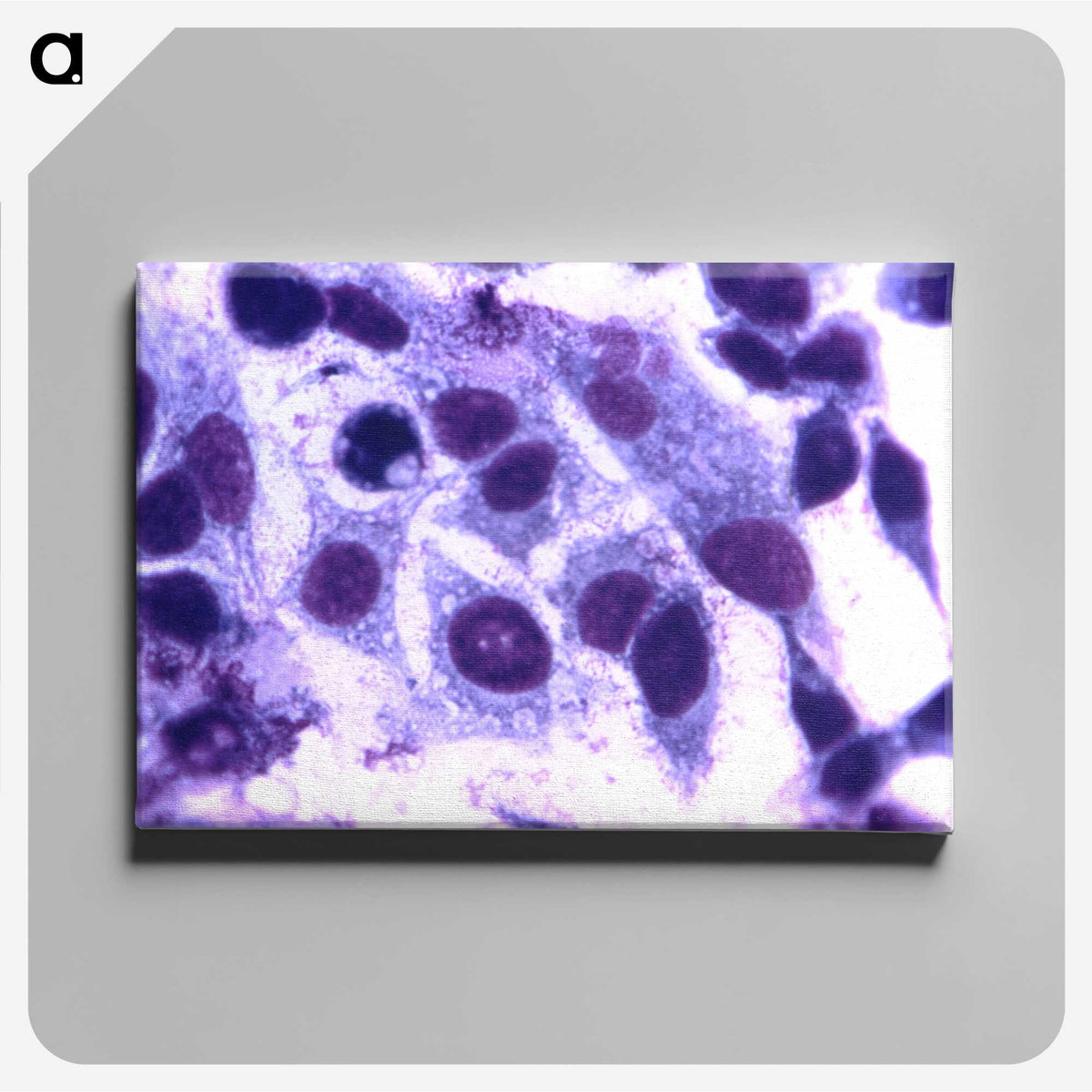 3-65_COVID-19_canvas