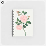 アートメモ帳-Damask Rose
 - クリーブランド美術館 Memo.