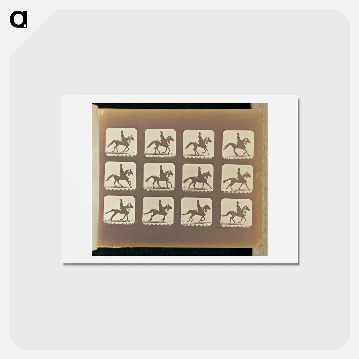 アートポストカード-Cantering
 - エドワード マイブリッジ Postcard.