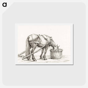 アートポストカード-Horse eating from a basket - ジャン ベルナール Postcard.