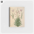 アートメモ帳-Tulipa clusiana and Fritillaria persica
 - マリア ジビーラ メーリアン Memo.