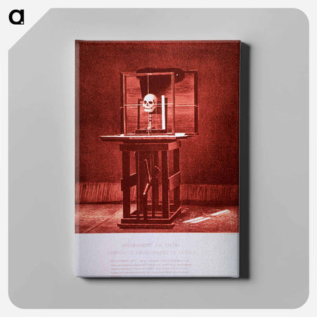 アートパネル-Arrangement for Taking Composite Photographs of Skulls: Photograph No. 4
 - 国立医学図書館 Canvas.