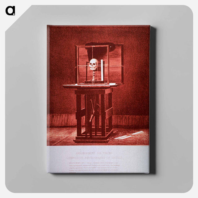 アートパネル-Arrangement for Taking Composite Photographs of Skulls: Photograph No. 4
 - 国立医学図書館 Canvas.