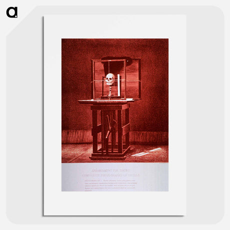 アートポスター-Arrangement for Taking Composite Photographs of Skulls: Photograph No. 4
 - 国立医学図書館 Poster.