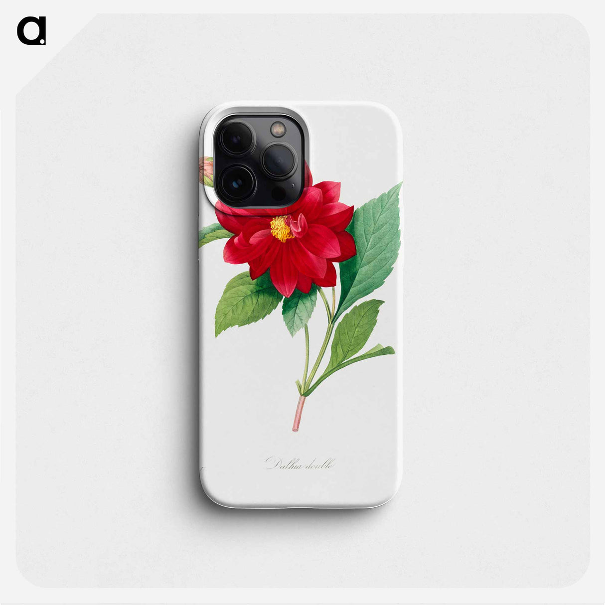 Dahlia double - Pierre Joseph Redouté Phone Case.