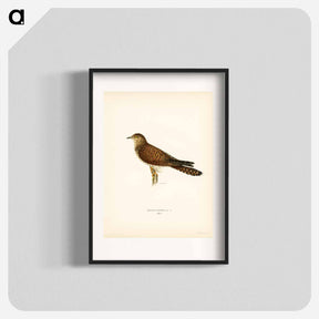 アートポスター-Common Cuckoo
 - スヴェンスカ フォグラル Poster.