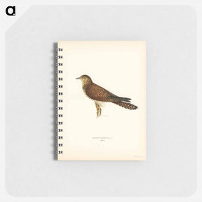 アートメモ帳-Common Cuckoo
 - スヴェンスカ フォグラル Memo.