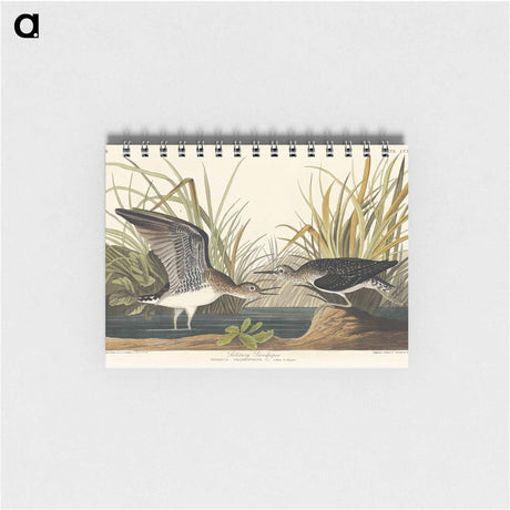 アートメモ帳-Solitary Sandpiper from Birds of America
 - アメリカの鳥たち Memo.