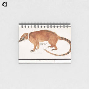 アートメモ帳-Red nose bear or coatimundi - アンセルムス ボエティウス デ ブート Memo.