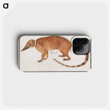 Red nose bear or coatimundi - アンセルムス ボエティウス デ ブート Phone Case.