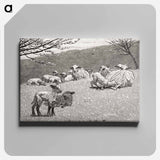 アートパネル-Spring Lamb
 - クリーブランド美術館 Canvas.