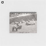 アートメモ帳-Spring Lamb
 - クリーブランド美術館 Memo.