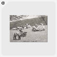 アートポストカード-Spring Lamb
 - クリーブランド美術館 Postcard.