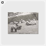 アートポストカード-Spring Lamb
 - クリーブランド美術館 Postcard.