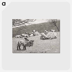 アートポストカード-Spring Lamb
 - クリーブランド美術館 Postcard.