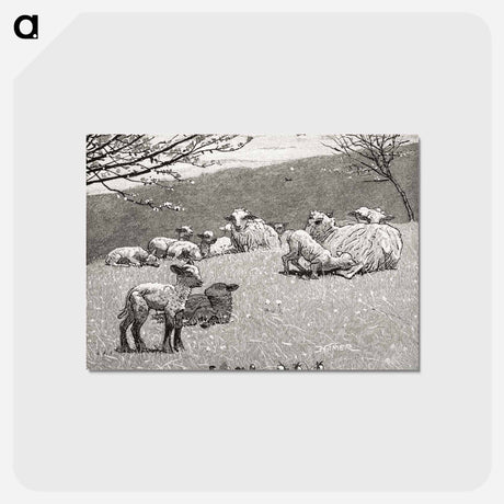 アートポストカード-Spring Lamb
 - クリーブランド美術館 Postcard.