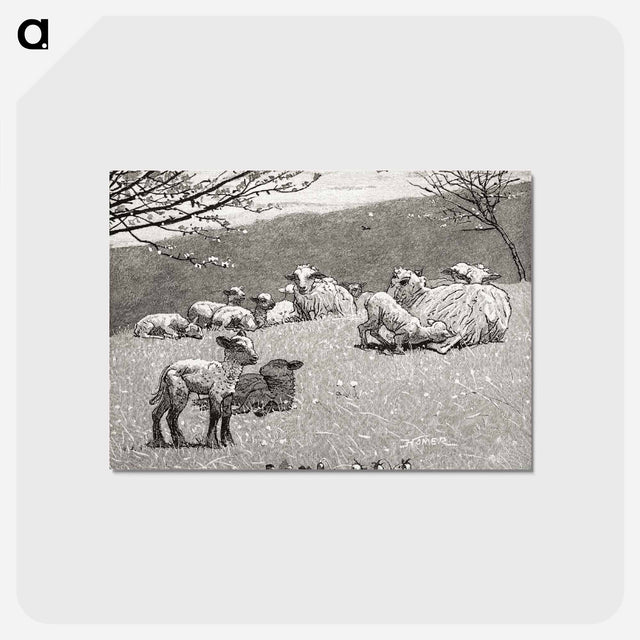 アートポストカード-Spring Lamb
 - クリーブランド美術館 Postcard.