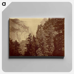 アートパネル-Tenaya Canyon. Valley of the Yosemite
 - エドワード マイブリッジ Canvas.