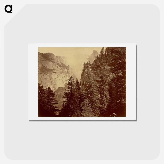 アートポストカード-Tenaya Canyon. Valley of the Yosemite
 - エドワード マイブリッジ Postcard.