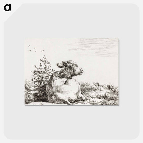 アートポストカード-Lying cow - ジャン ベルナール Postcard.