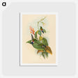 アートポストカード-Coppery-vented Puff-Leg
 - ジョン グールド Postcard.