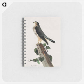アートメモ帳-Le Petit Caporal
 - ジョン ジェームス オーデュボン Memo.