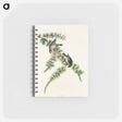 アートメモ帳-Pine Finch from Birds of America
 - アメリカの鳥たち Memo.