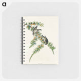 アートメモ帳-Pine Finch from Birds of America
 - アメリカの鳥たち Memo.