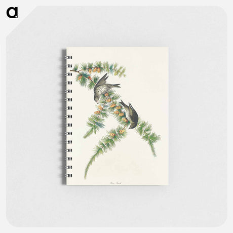 アートメモ帳-Pine Finch from Birds of America
 - アメリカの鳥たち Memo.