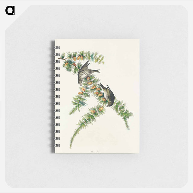 アートメモ帳-Pine Finch from Birds of America
 - アメリカの鳥たち Memo.