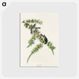 アートポストカード-Pine Finch from Birds of America
 - アメリカの鳥たち Postcard.