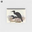 アートメモ帳-Groove-billed Cormorant
 - オーストラリアの鳥 Memo.