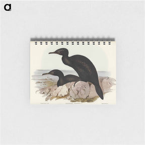 アートメモ帳-Groove-billed Cormorant
 - オーストラリアの鳥 Memo.