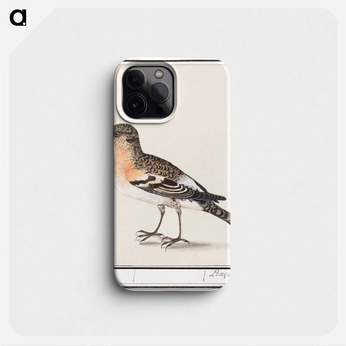 Keep, Fringilla montifringilla - アンセルムス ボエティウス デ ブート Phone Case.