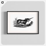 アートポスター-Victorian Goat Engraving
 - 大英図書館 Poster.