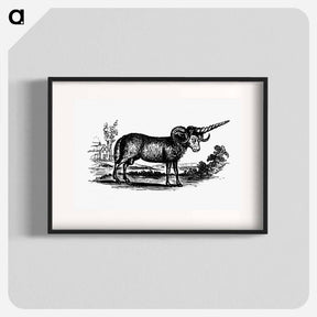 アートポスター-Victorian Goat Engraving
 - 大英図書館 Poster.